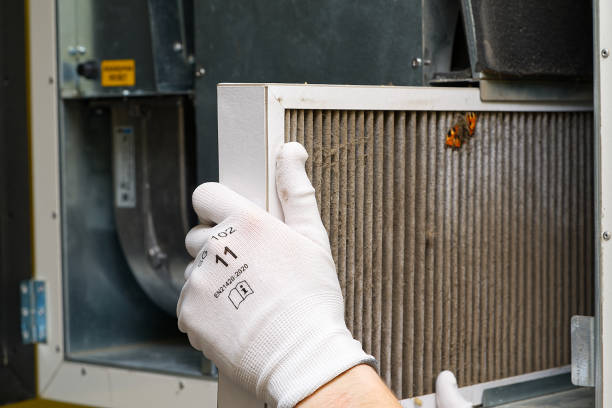 Best HVAC Air Duct Cleaning  in Maitland, FL