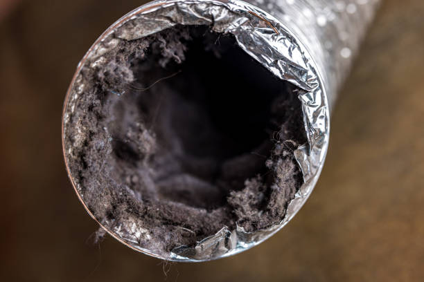 Best HVAC Duct Inspection Services  in Maitland, FL